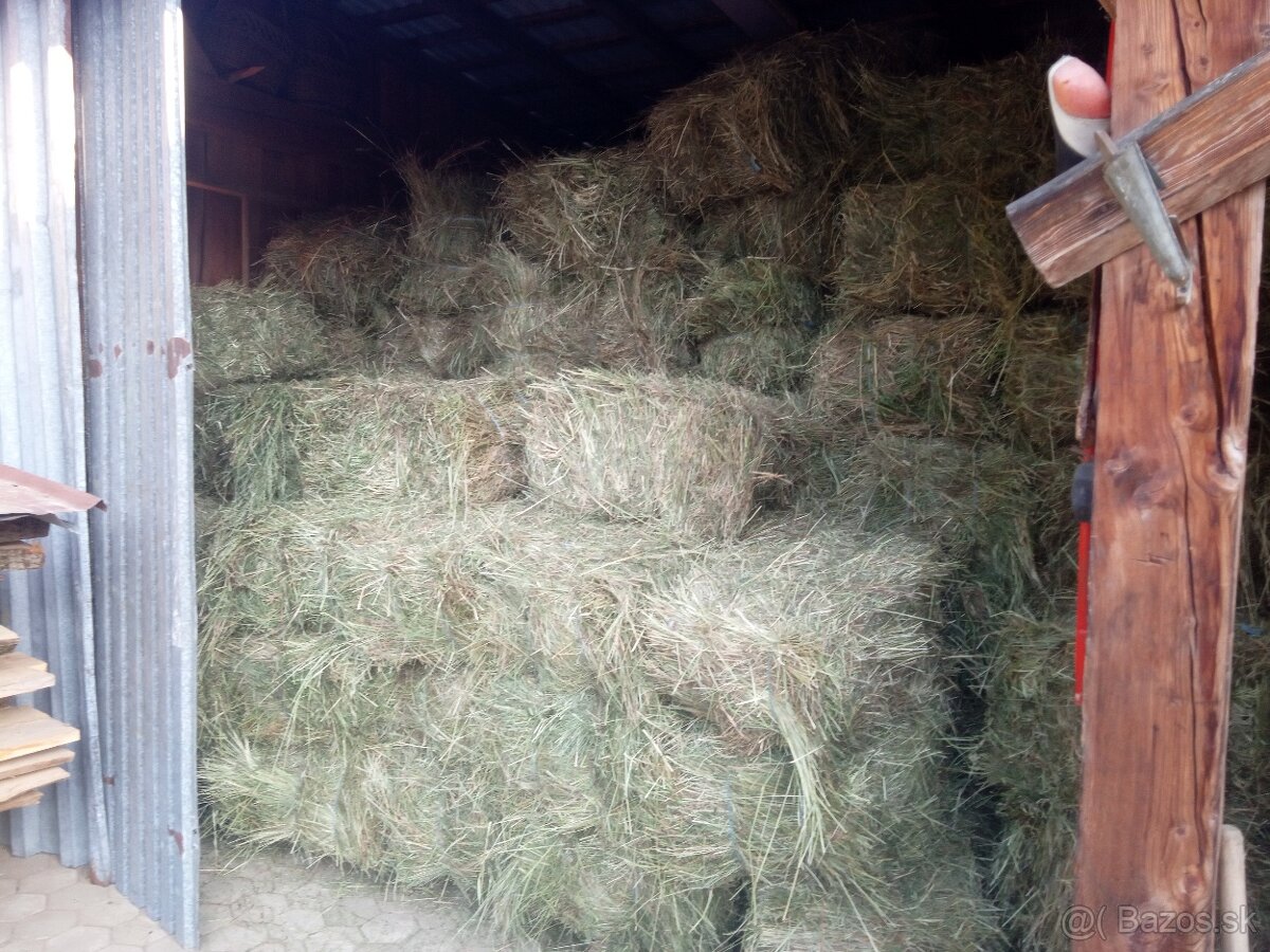 Predám Horské seno v malých balíkoch cena za balík 3,50-eur.