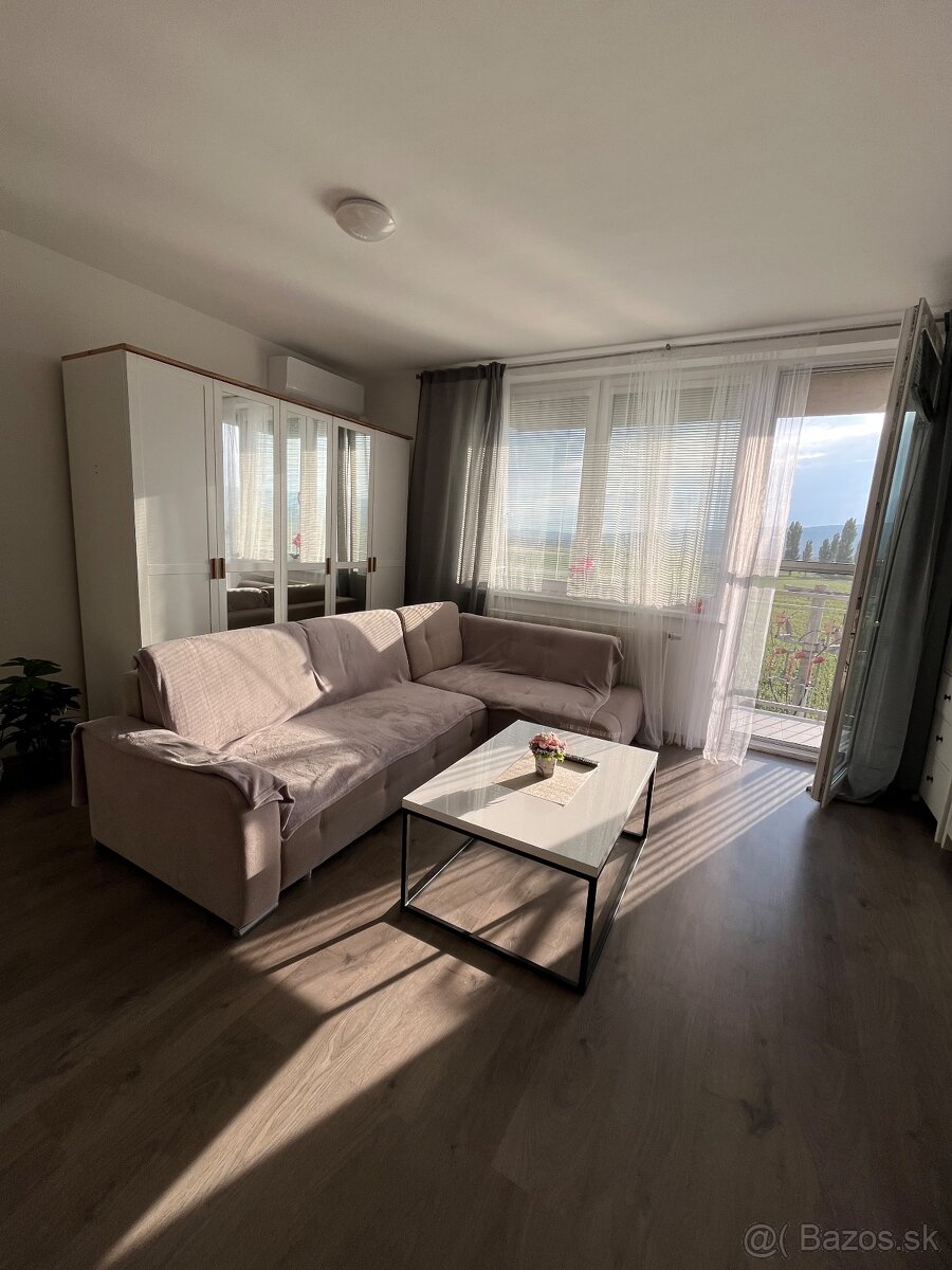 PRENÁJOM 1 izbový byt- SLOVENSKÝ GROB