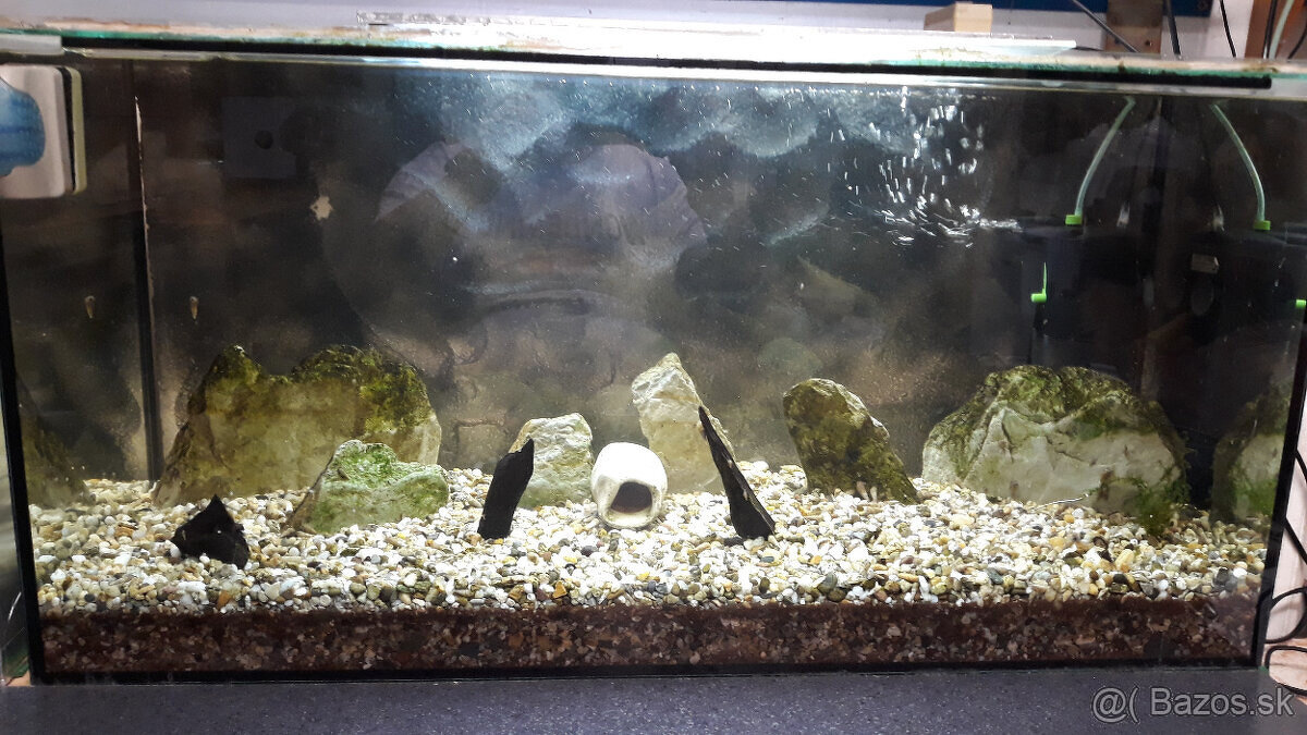 predám akvárium