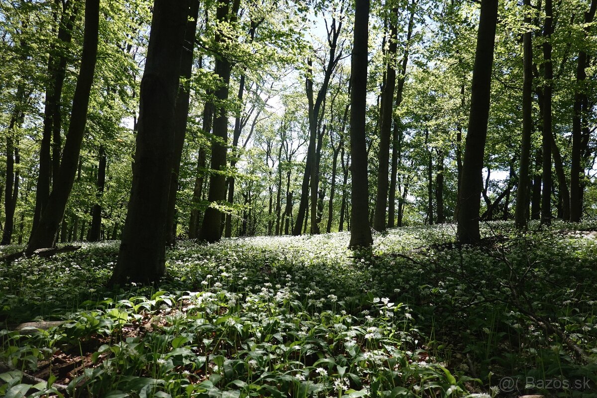 Hladáme pilčíka - traktoristu