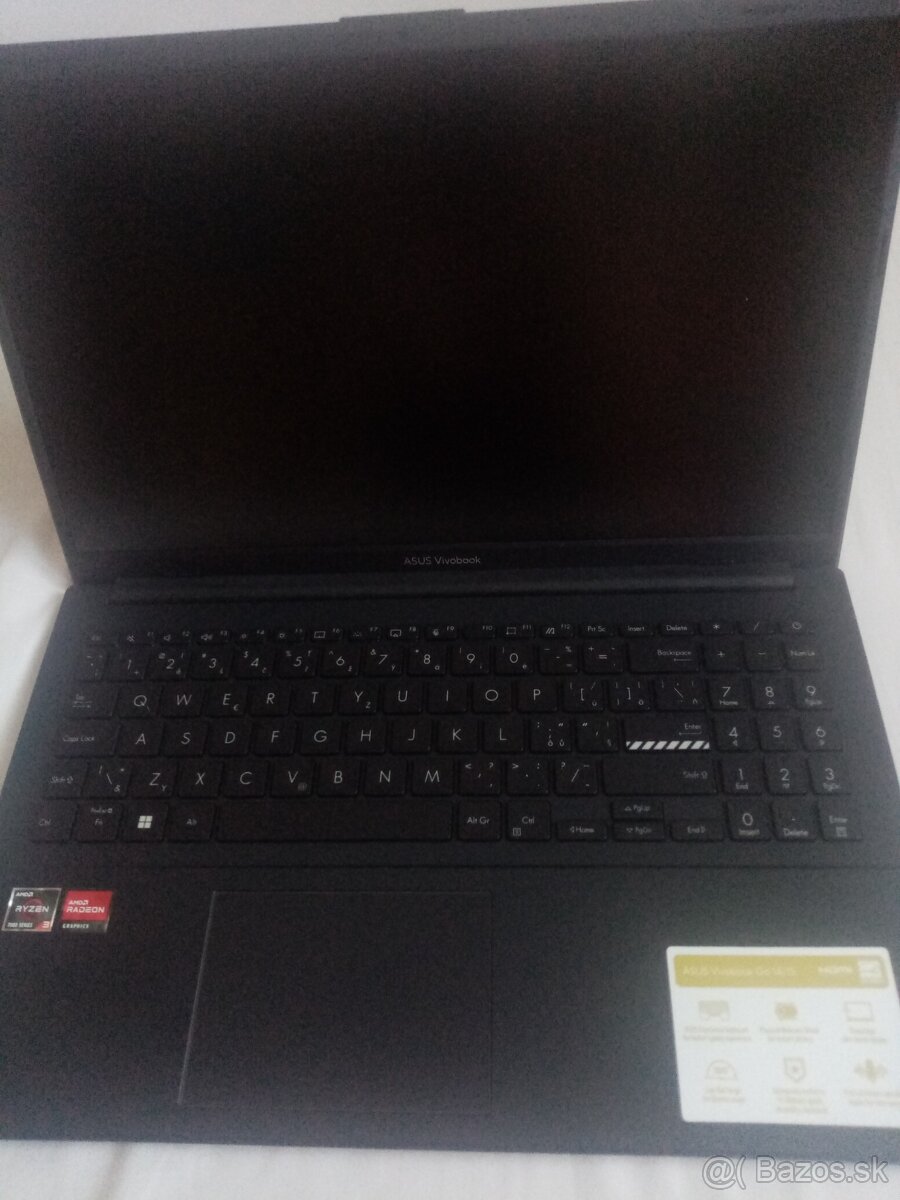 Asus Vivobook GO