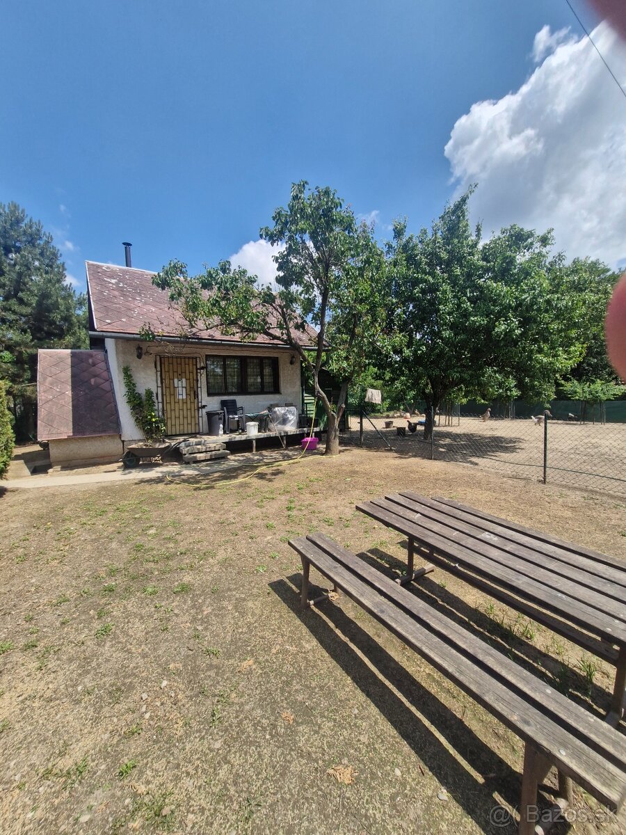 Chata kokšov bakša