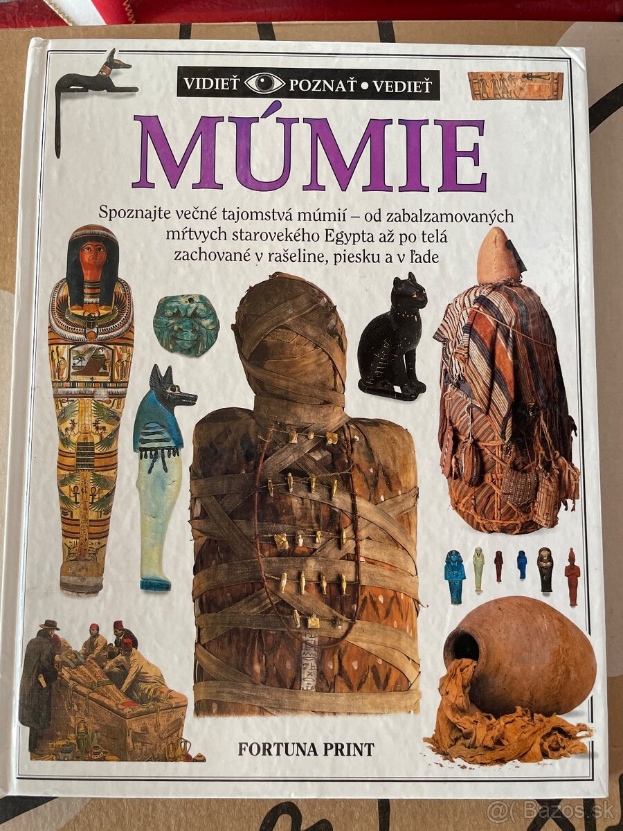 Vidieť poznať vedieť - MÚMIE