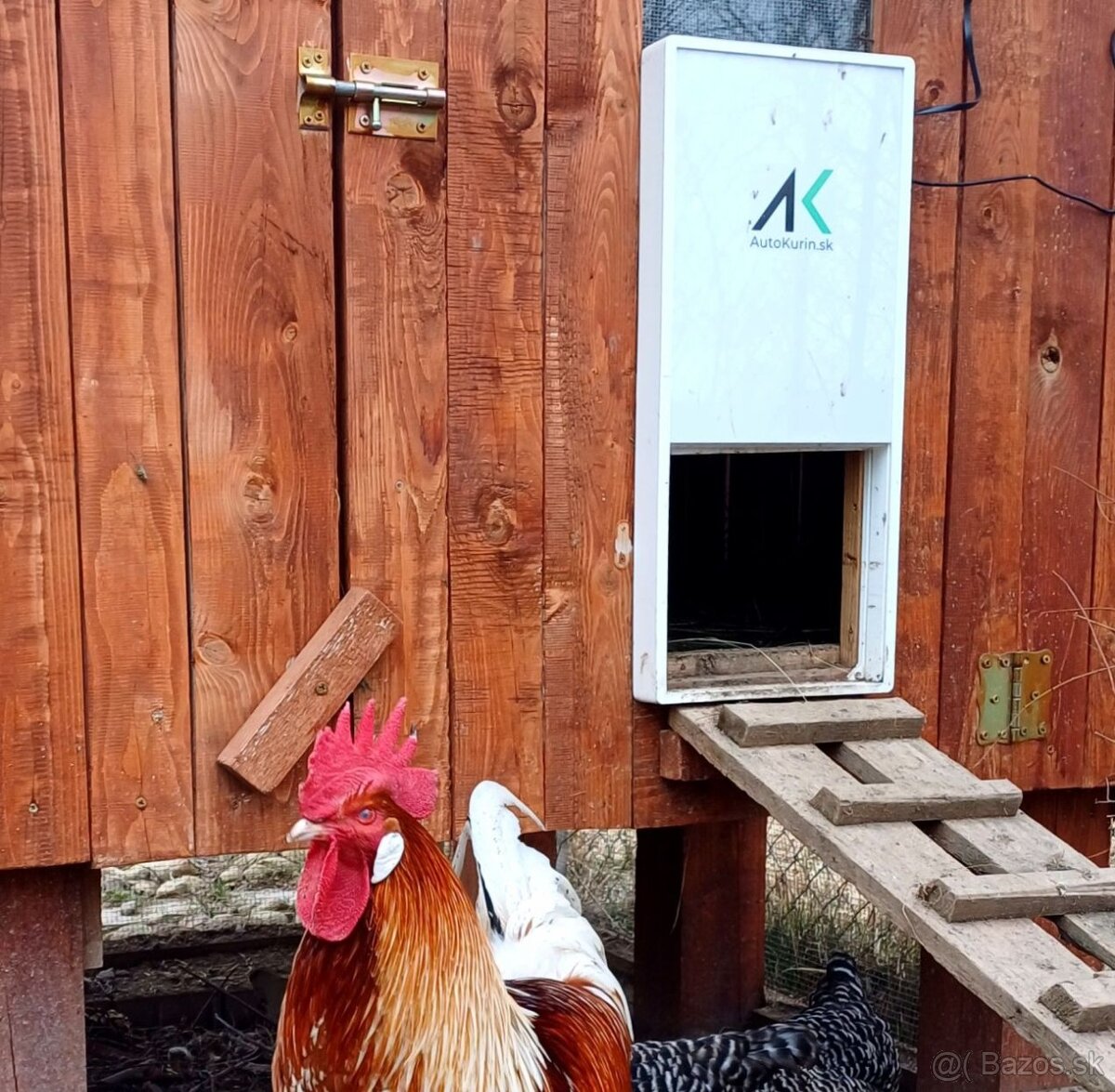 Automatické dvierka na kurín - domáca výroba