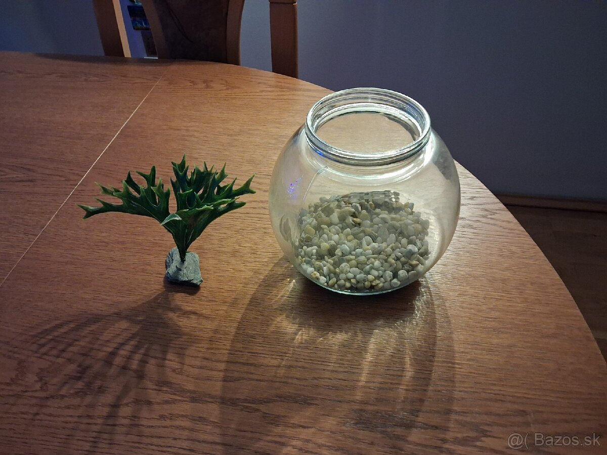 Akvárium pre bojovnicu