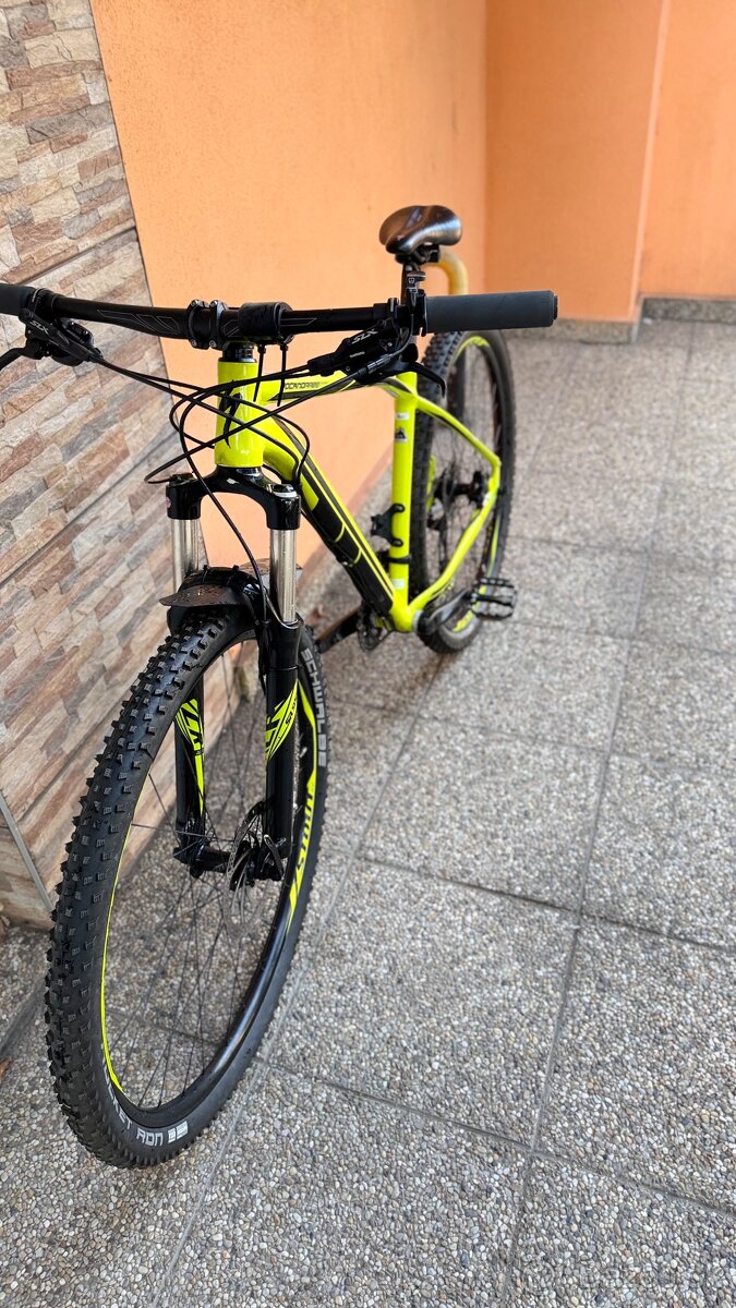 Specialized Rockhopper Expert 29