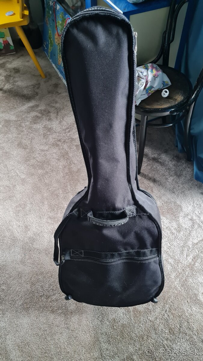 Gitara Pasadena cg1