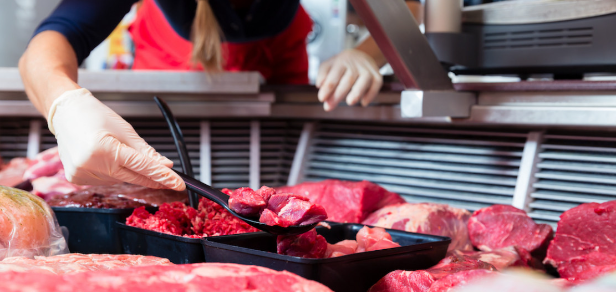 PRACA V HOLANDSKU TPP, brigada