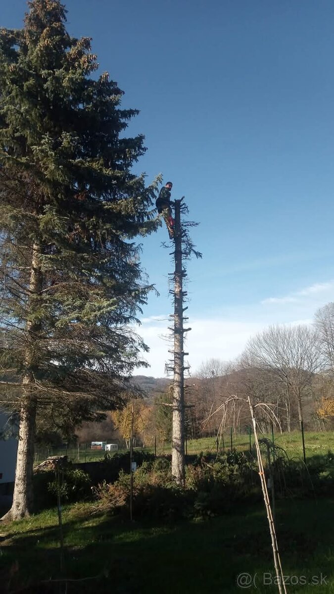 Kosenie záhrad a pílenie dreva