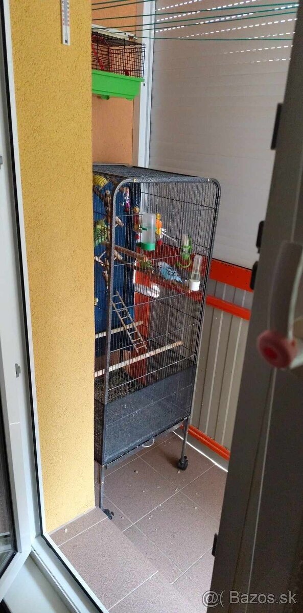 Predám veľkú klietku pre papagaje
