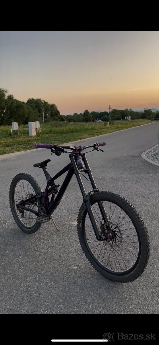 Kellys noid 70 2018