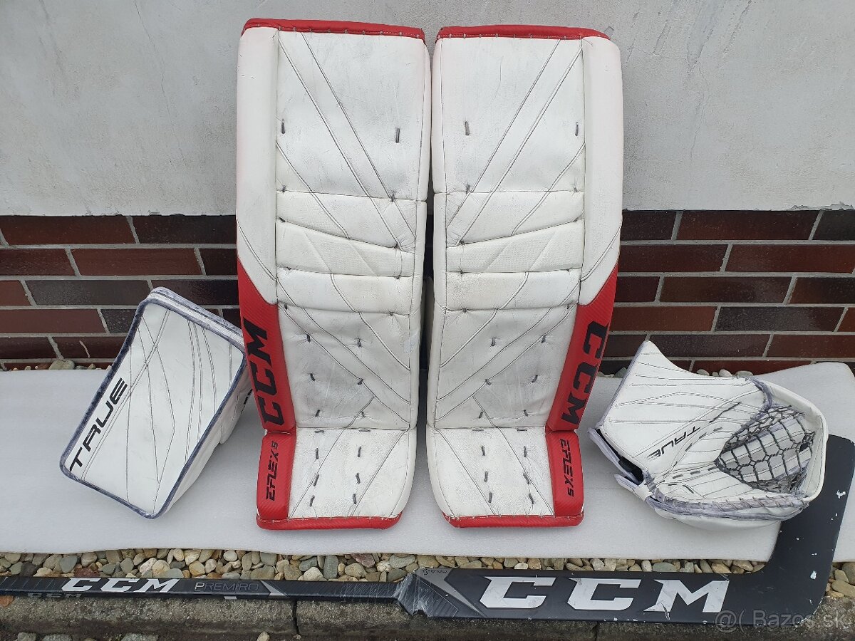 Brankarsky set TRUE 20.2 a CCM Eflex 5 Pro