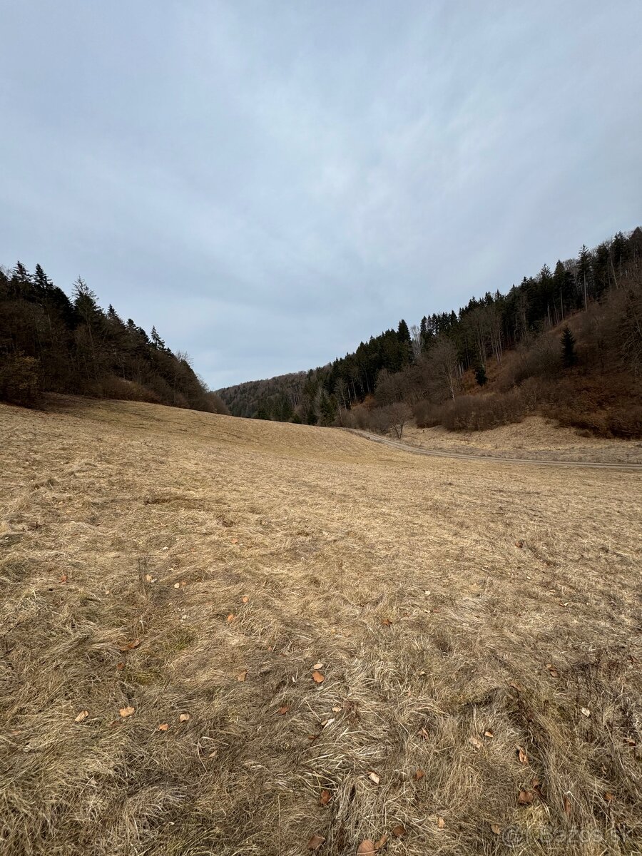 Predám pozemok Slovenska Lupča