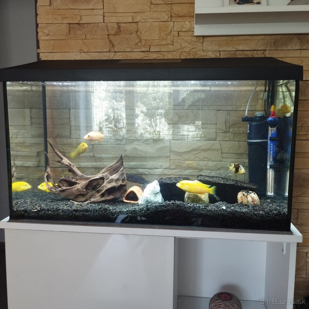Akvarium 110l