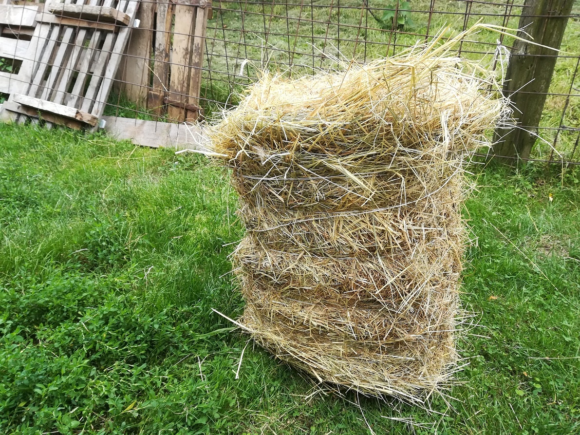 seno malé balíky
