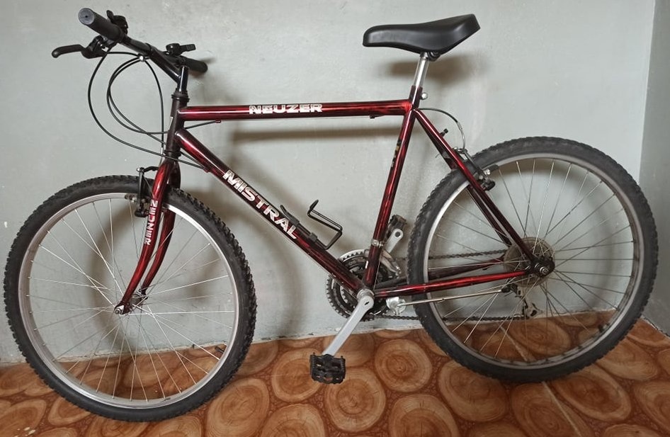 Bicykel zn Neuzer