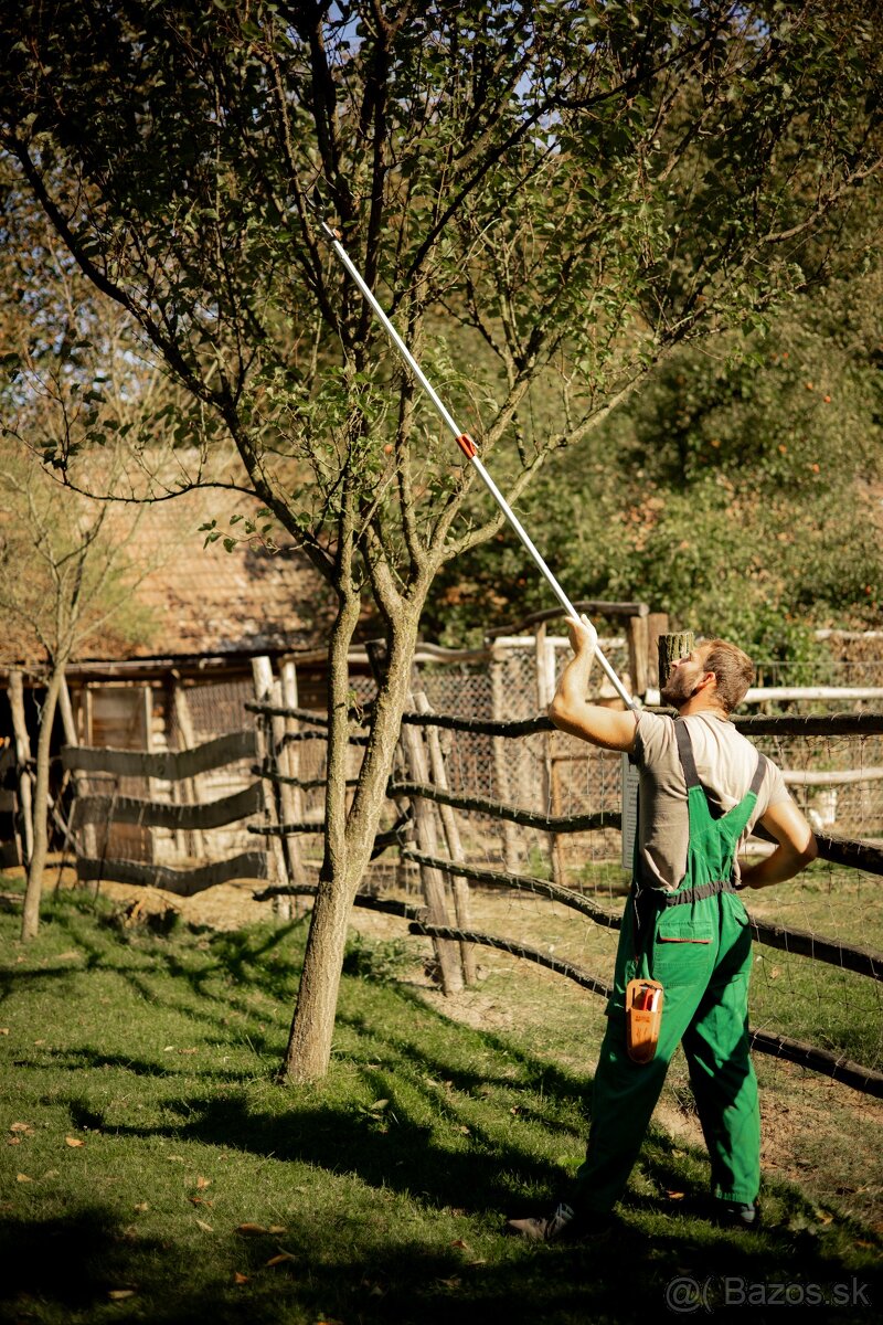 Odborný rez ovocných stromov