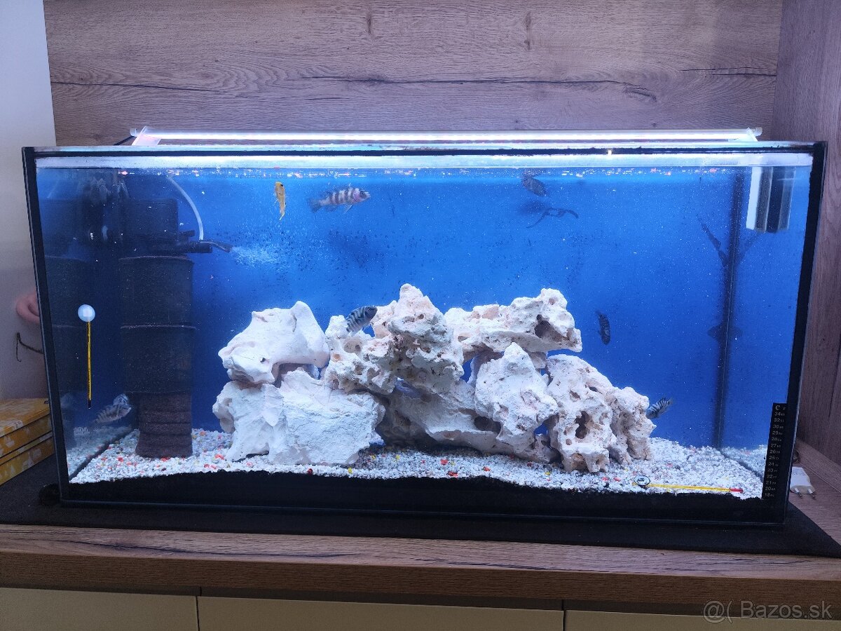 Predám akvárium