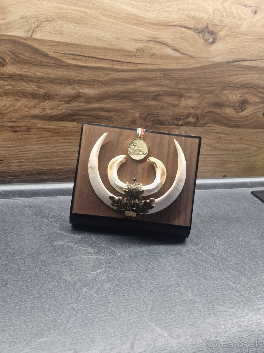 Stojan na trofeje