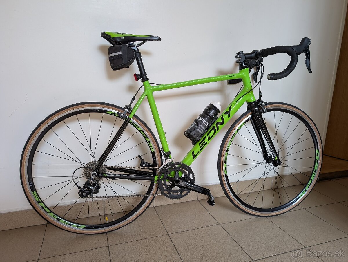 DEMA LEONY 5 2020