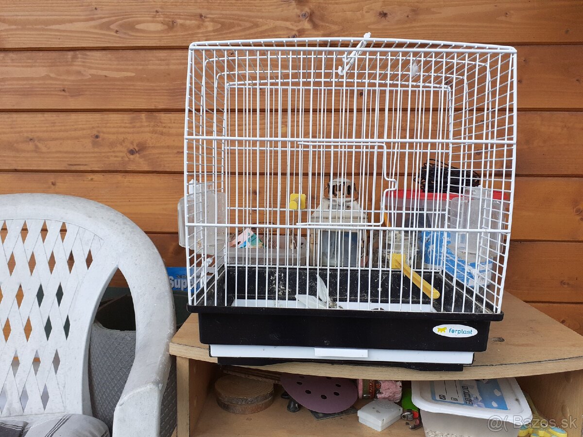 Klietka pre vtáčika
