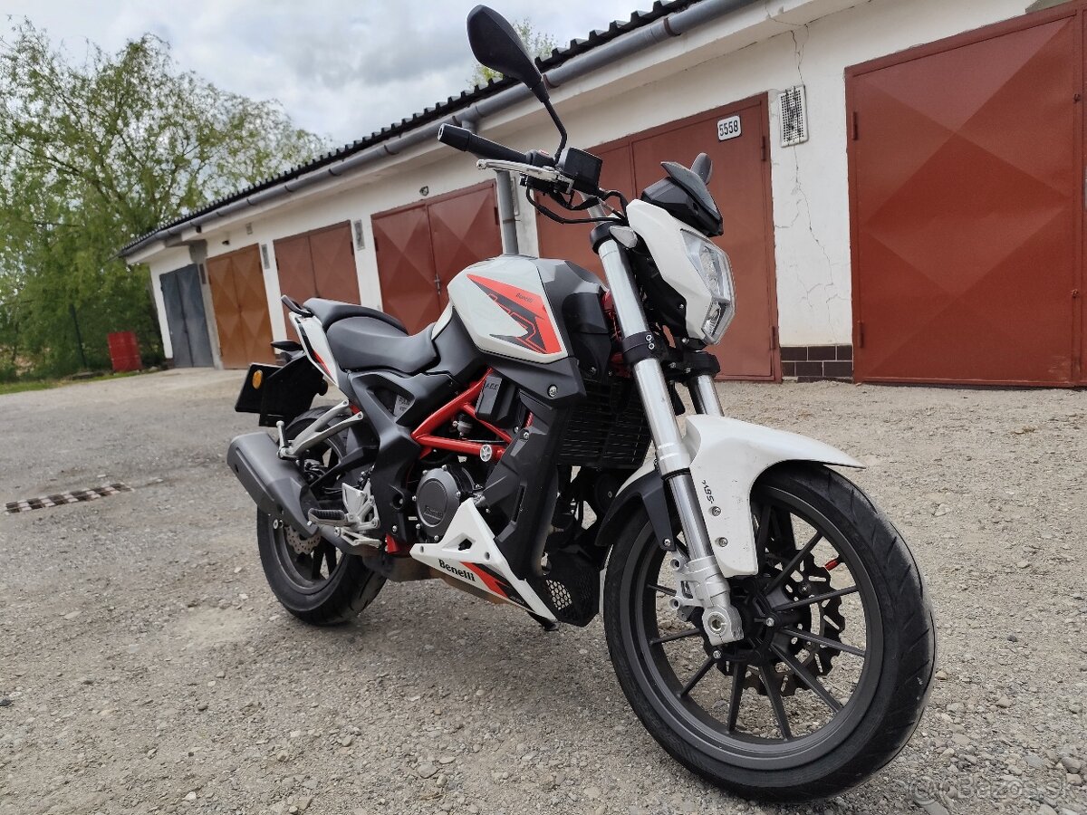 Benelli bn 251