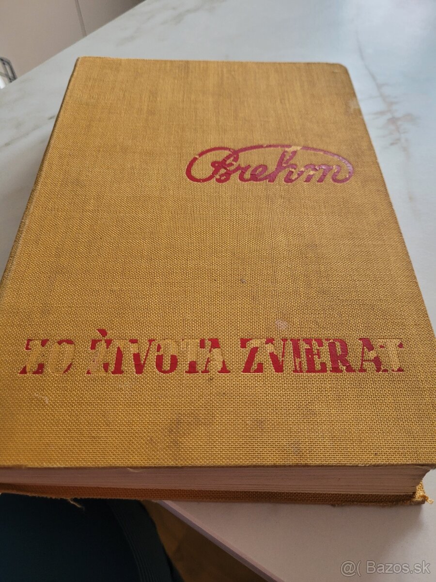Kniha