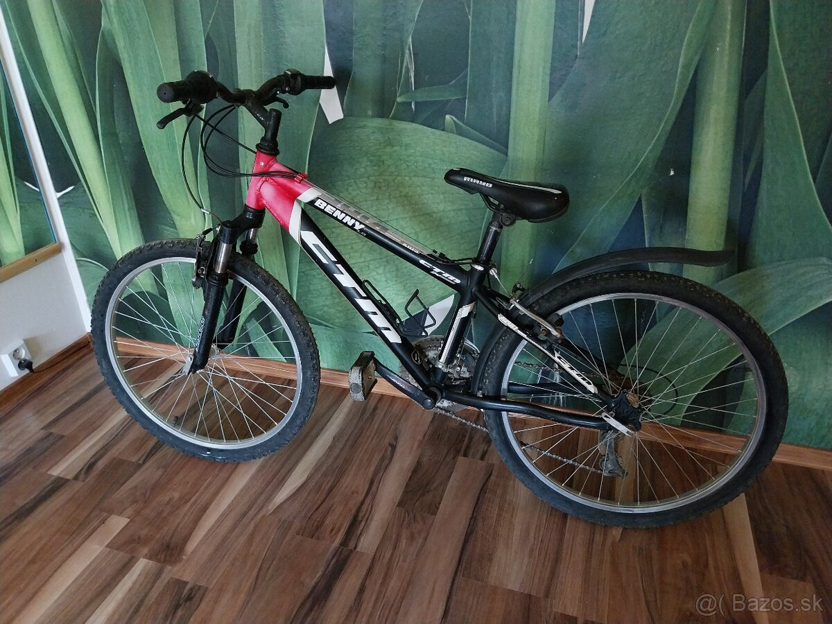 Bicykel 24 palcov