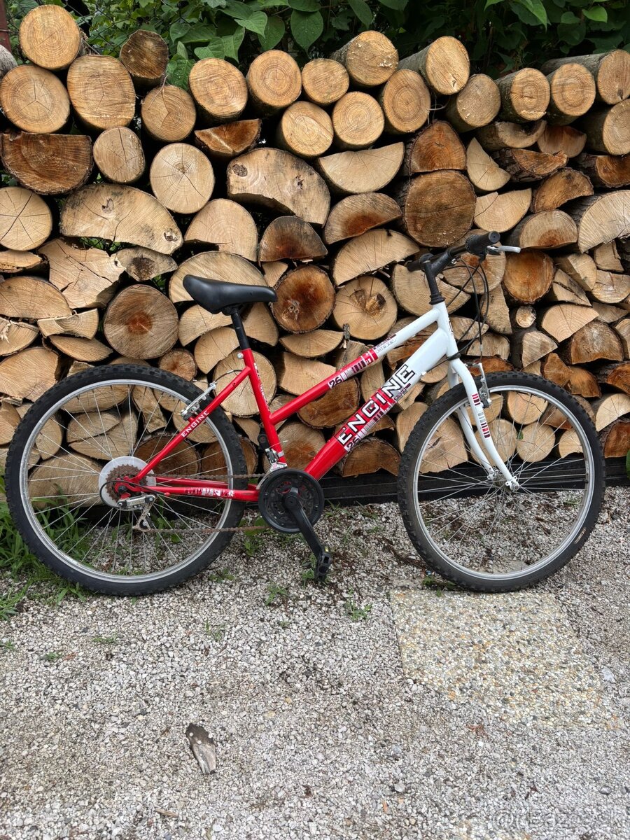 Dámsky bicykel