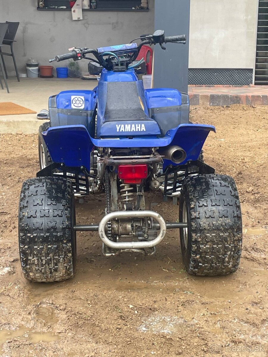 Yamaha Warrior 350