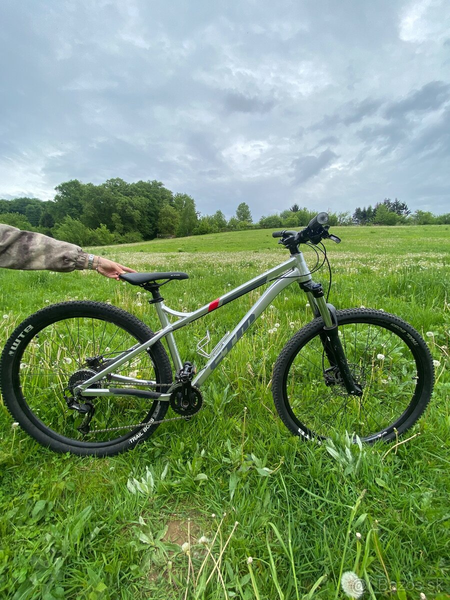CTM ZEPHYR 29" lesklý hliník, model 2021