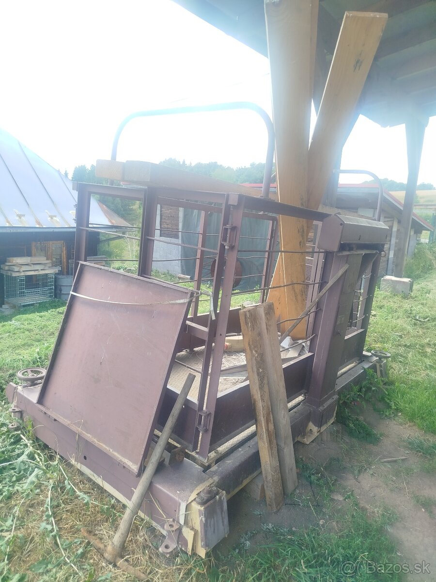Váha na dobytok, ošípané