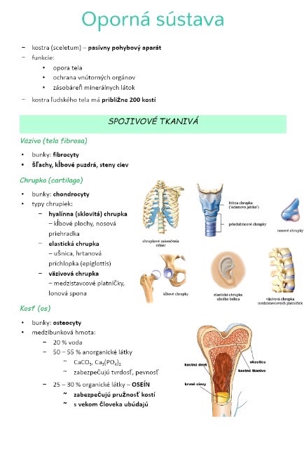Podklady na prijímačky - LF UPJŠ v Košiciach