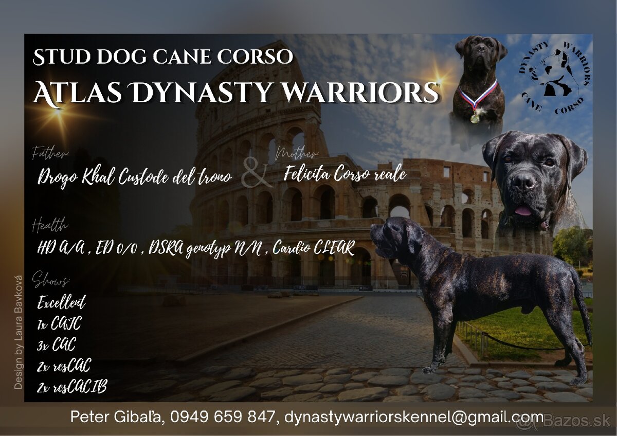 Dynasty Warriors