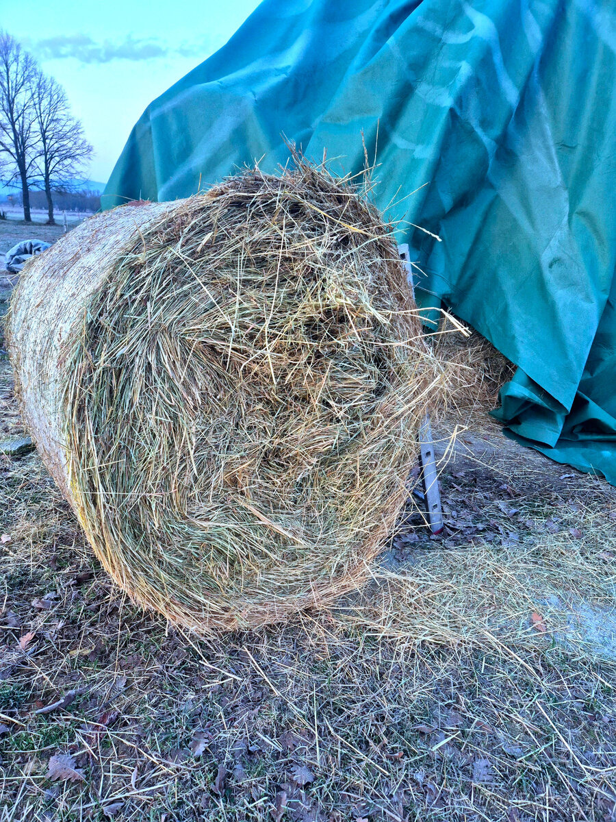 seno okrúhle balíky 130x130