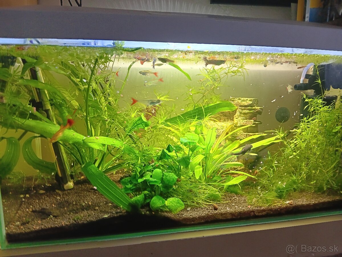 Predám zabehnute akvarium