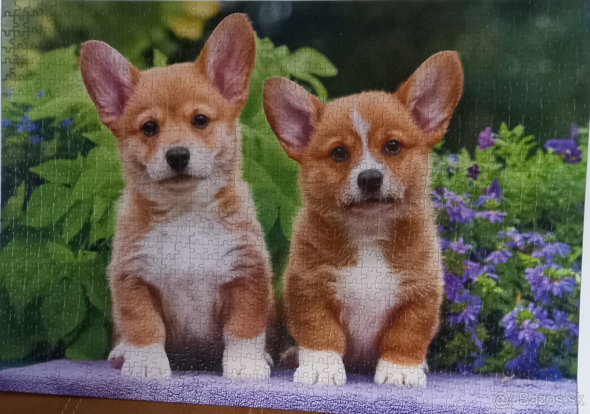 Puzzle - 1000 dielikov