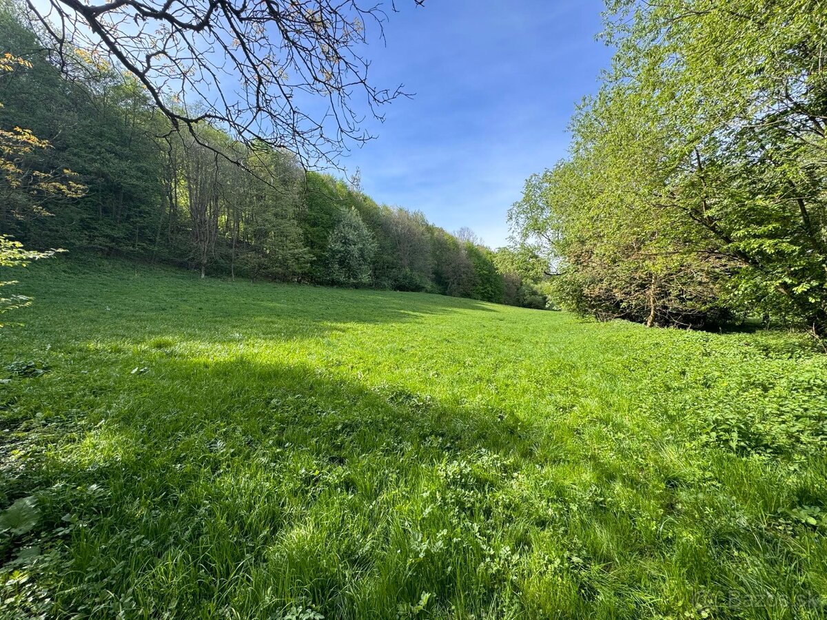 Predám lúku na Viničke (Kúpeľná ulica) Revúca