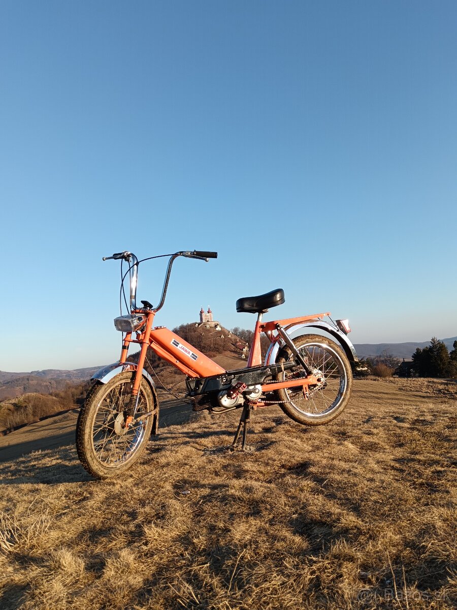 Babeta 207