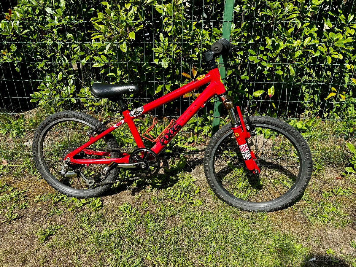 Bicykel Frog