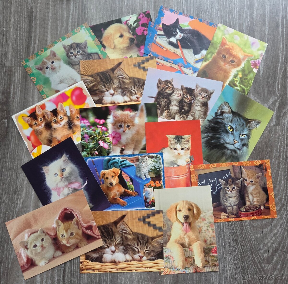 Pohladnice so zvieratami