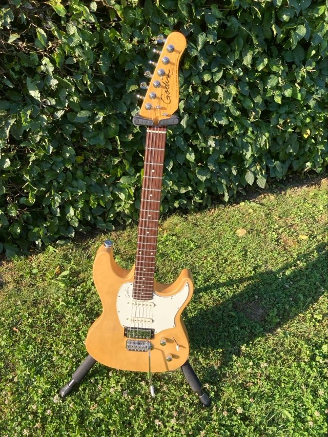 Godin session CANADA-USA