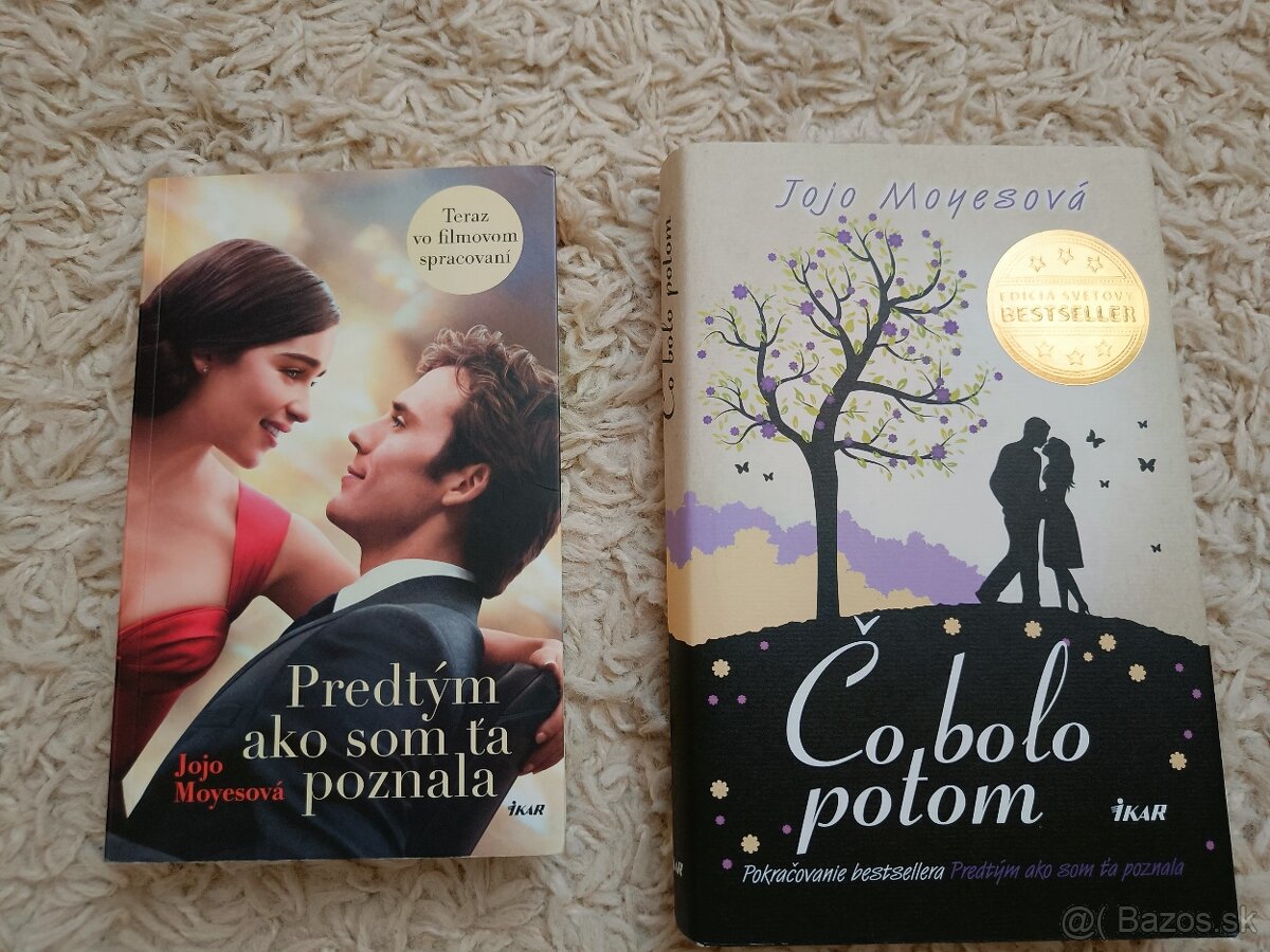 Predtým ako som ťa poznala