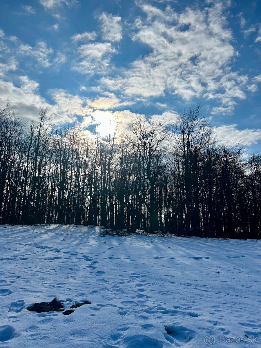 Dopyt - RD, chata, pozemok