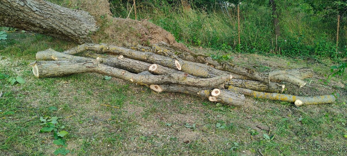 Predám orechové drevo