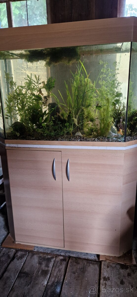 Akvárium 270l
