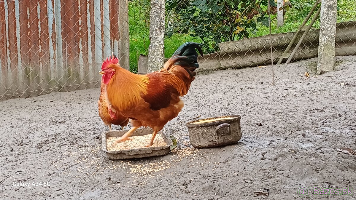 Hempšír