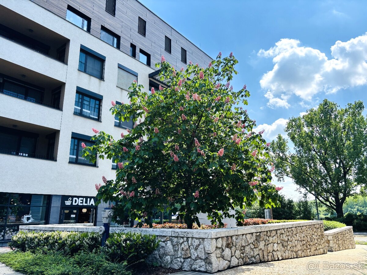 BH REAL ESTATE ponúka na predaj 2-izb. byt v ZUCKERMANDEL