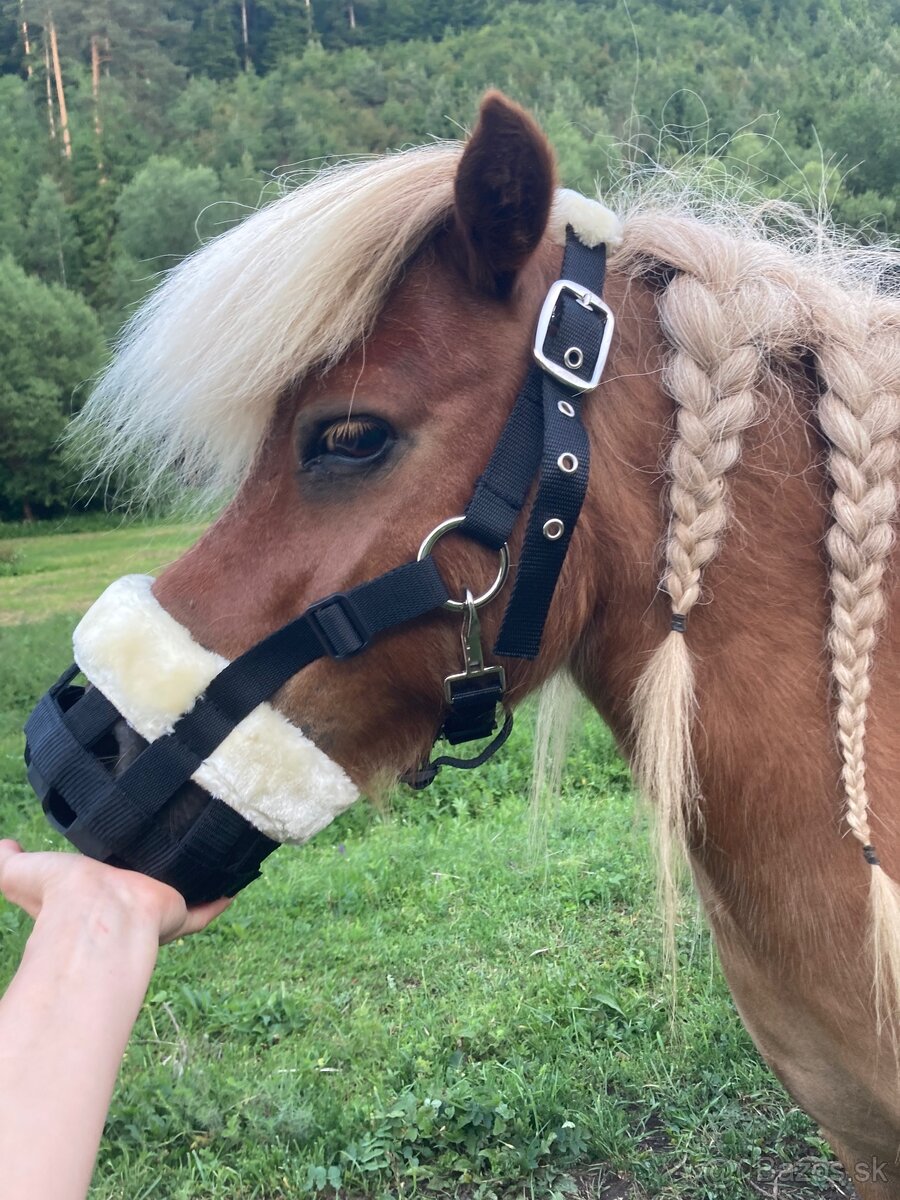 Náhubok pre poníka veľkosť shetty