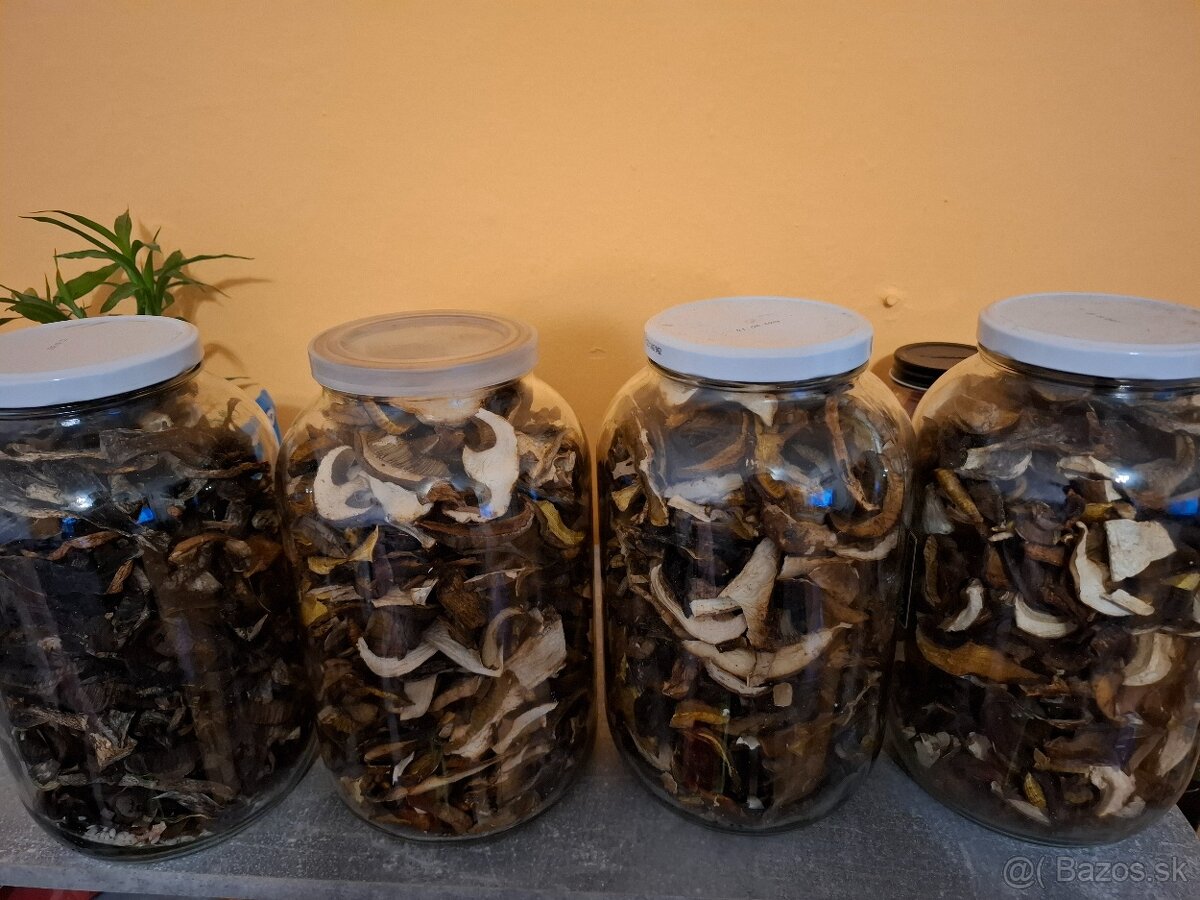 Predam sušené hríby